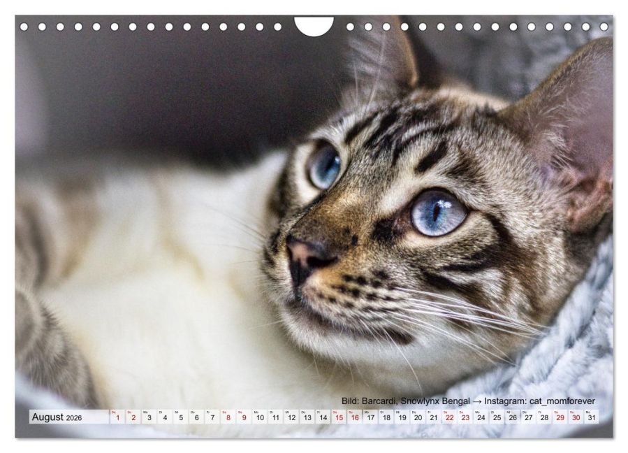 InsideView 13