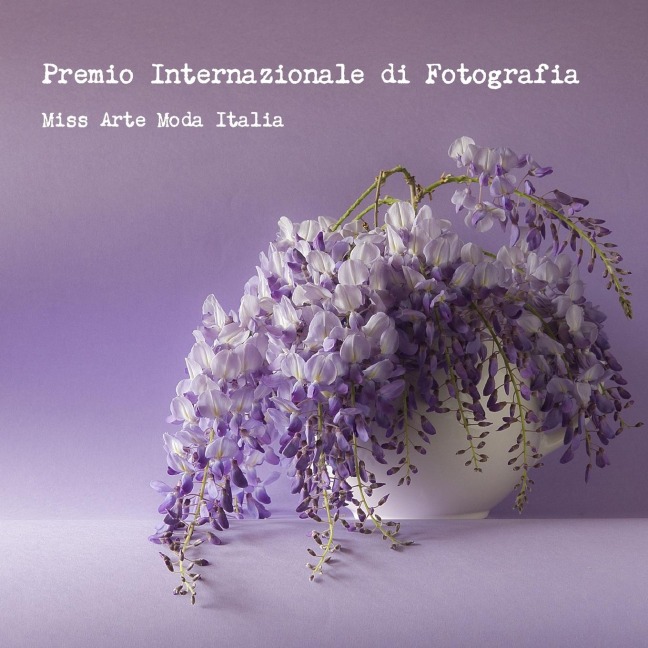 Premio Internazionale di Fotografia Miss Arte Moda Italia 2016 - Miss Arte Moda Italia