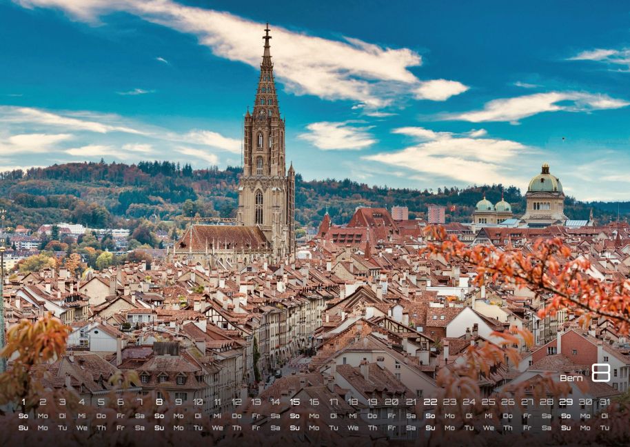 InsideView 8