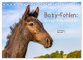 Baby-Fohlen: sonnige Impressionen (Tischkalender 2024 DIN A5 quer), CALVENDO Monatskalender - Margret v Conta
