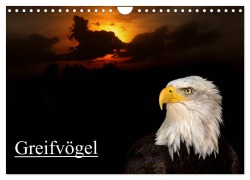 Cover-Bild zum Titel 'Greifvögel (Wandkalender 2026 DIN A4 quer), CALVENDO Monatskalender' von 'Arno Klatt'