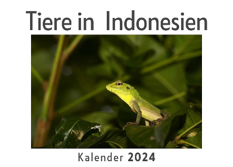 Tiere in Indonesien (Wandkalender 2024, Kalender DIN A4 quer, Monatskalender im Querformat mit Kalendarium, Das perfekte Geschenk) - Anna Müller