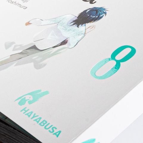 InsideView 2