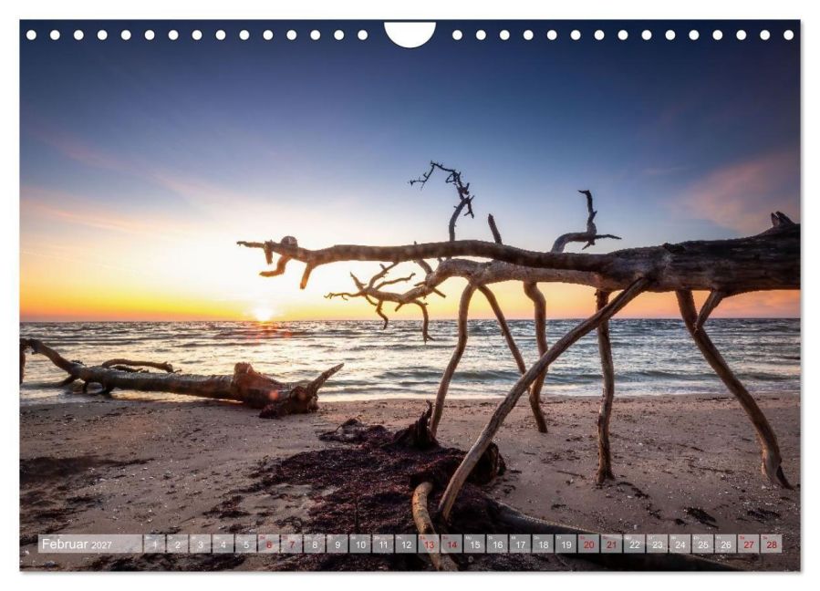 InsideView 7