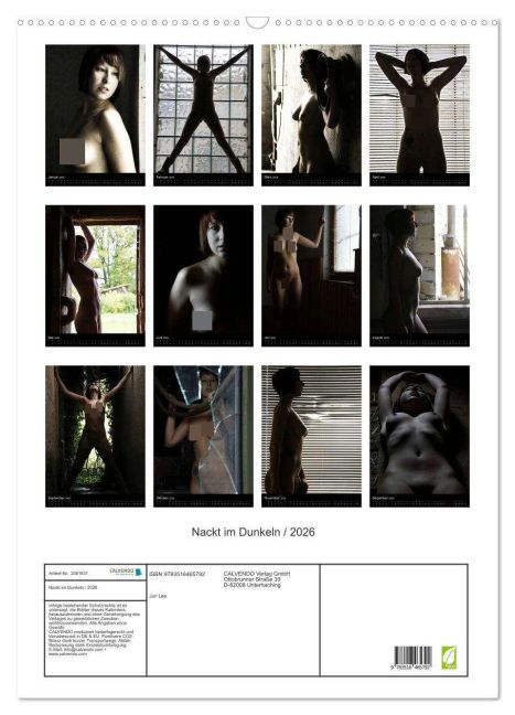 InsideView 5