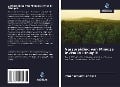 Cover-Bild zum Titel 'Verspreiding van Mimosa invisa in Ethiopië' von 'Yebegaeshet Legesse'
