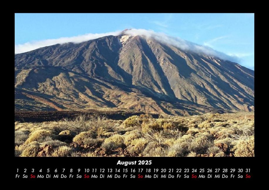InsideView 12