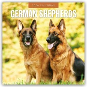 German Shepherds - Deutscher Schäferhund 2026 - 16-Monatskalender - Robin Red