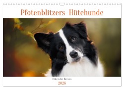 Cover-Bild zum Titel 'Pfotenblitzers Hütehunde - Hüter der Herzen (Wandkalender 2026 DIN A3 quer), CALVENDO Monatskalender' von 'Pfotenblitzer Tierfotografie'