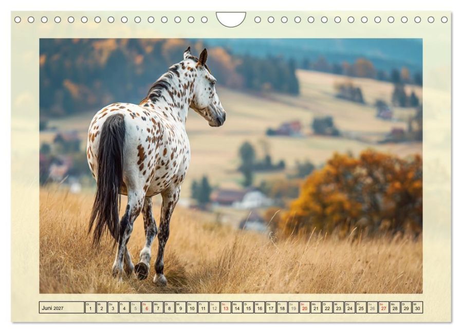 InsideView 11