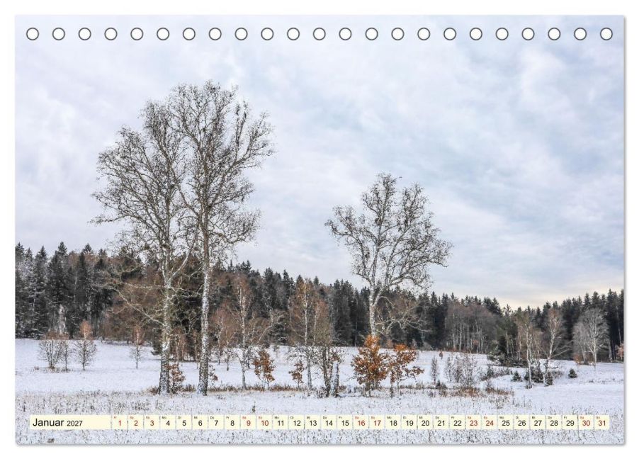 InsideView 6