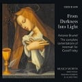 Cover-Bild zum Titel 'From Darkness into Light-The complete Lamentations' von 'Stras/Roberts/Musica Secreta'