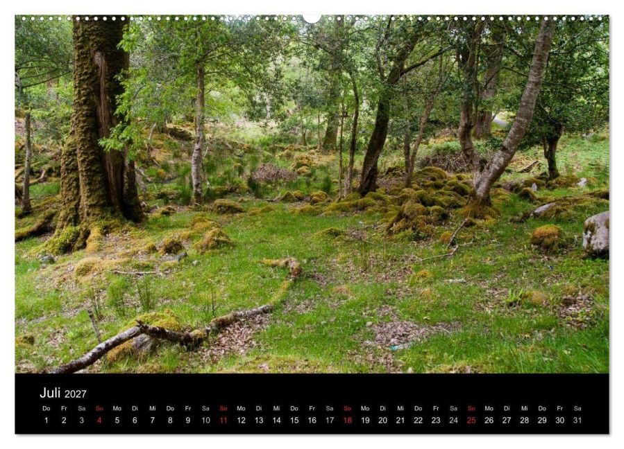 InsideView 11