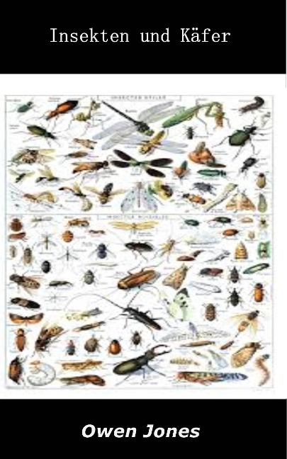 Insekten und Käfer (So geht's... Serie, #65) - Owen Jones