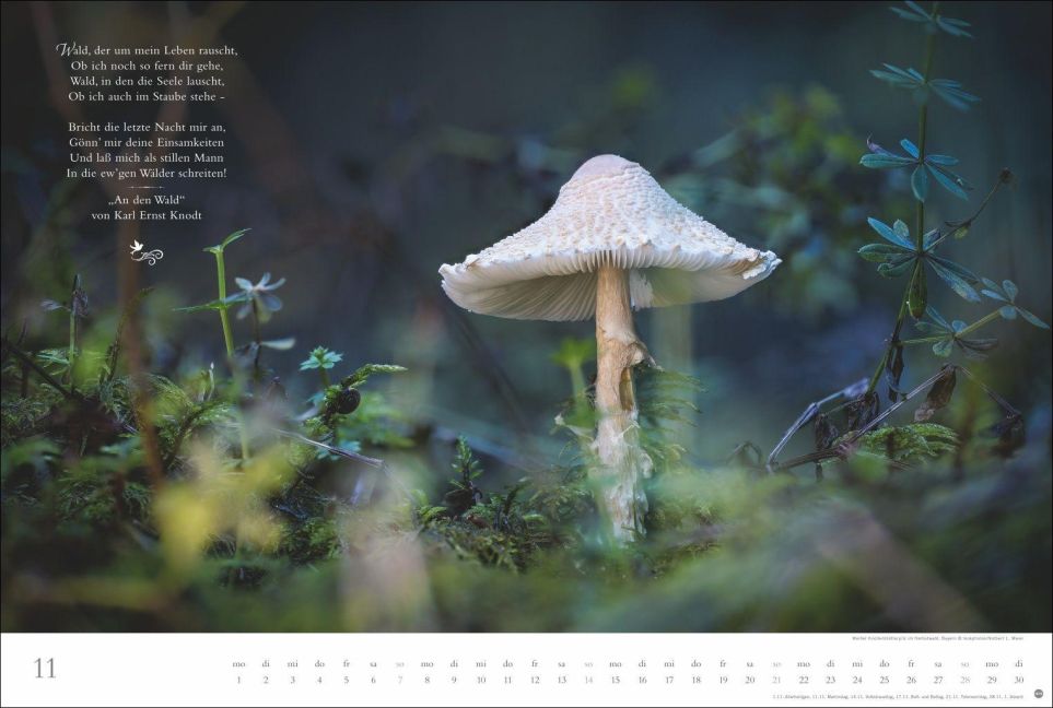 InsideView 11