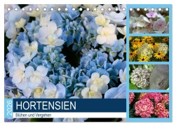 Cover-Bild zum Titel 'Hortensien Blühen und Vergehen (Tischkalender 2026 DIN A5 quer), CALVENDO Monatskalender' von 'Gisela Kruse'