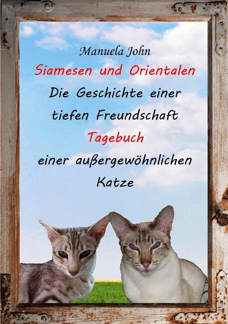 Siamesen und Orientalen - Manuela John