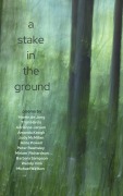 Cover-Bild zum Titel 'A Stake In The Ground' von 'Martin De Jong'