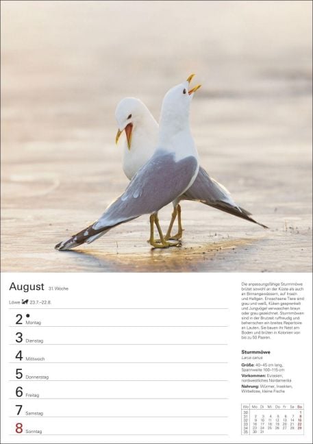 InsideView 12