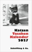 Cover-Bild zum Titel 'Katzen Taschenkalender 2027' von 'Julia Bachstein'