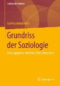 Grundriss der Soziologie - Ludwig Gumplowicz
