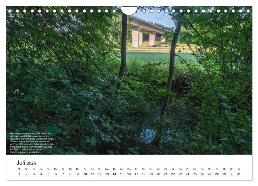 InsideView 12