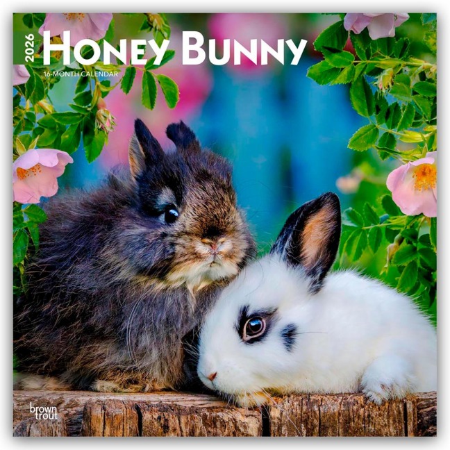Honey Bunny - Süße Häschen 2026 - 16-Monatskalender - Browntrout Publishers