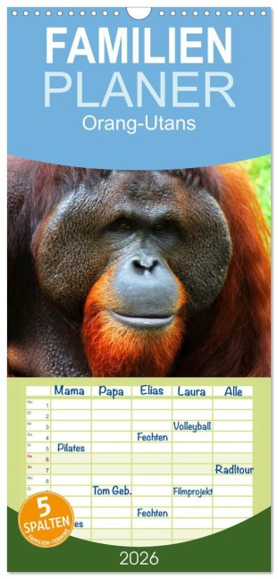 Familienplaner 2026 - Orang-Utans mit 5 Spalten (Wandkalender, 21 x 45 cm) CALVENDO - Elisabeth Stanzer