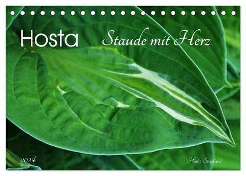 Hosta Staude mit Herz (Tischkalender 2024 DIN A5 quer), CALVENDO Monatskalender - Jutta Heußlein