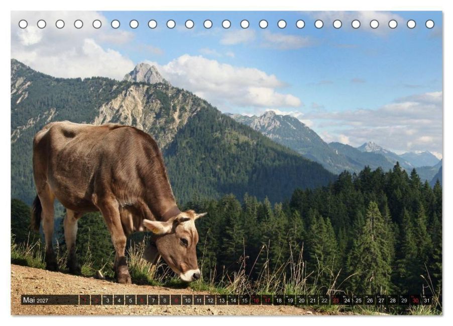 InsideView 10