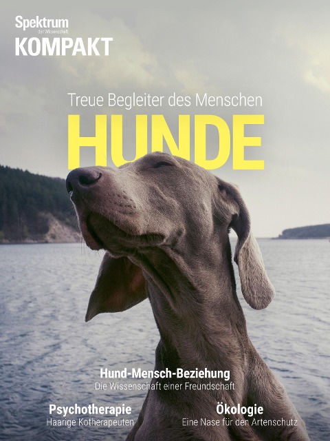 Spektrum Kompakt: Hunde - 