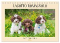 Lagotto Romagnolo - der Trüffelhund Italiens (Tischkalender 2024 DIN A5 quer), CALVENDO Monatskalender - Sigrid Starick