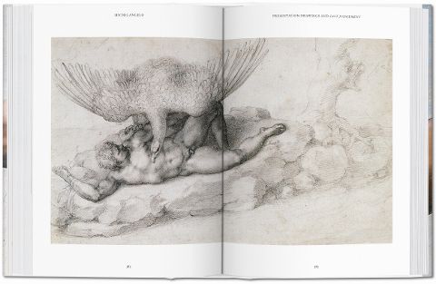 InsideView 8