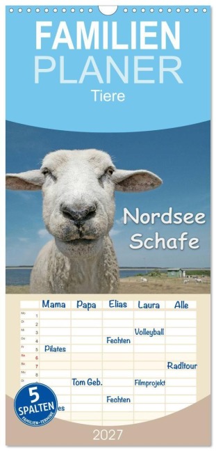 Familienplaner 2027 - Nordsee Schafe mit 5 Spalten (Wandkalender, 21 x 45 cm) CALVENDO - Andrea Wilken