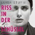 Cover-Bild zum Titel 'Riss in der Schüssel' von 'Luisa Sturm'