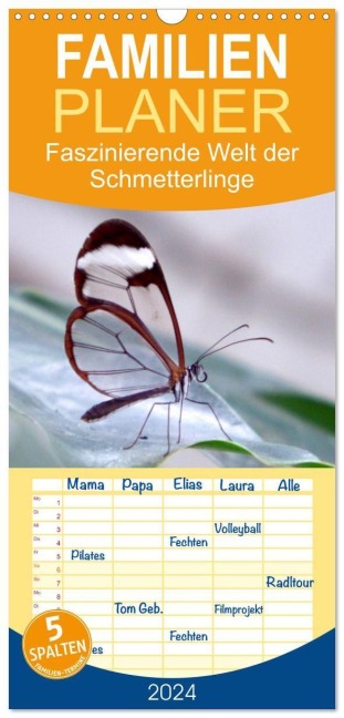 Familienplaner 2027 - Faszinierende Welt der Schmetterlinge mit 5 Spalten (Wandkalender, 21 x 45 cm) CALVENDO - Pocketkai Pocketkai