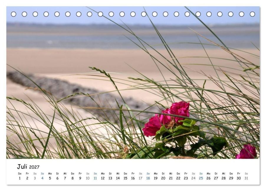 InsideView 12