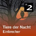 Cover-Bild zum Titel 'Tiere der Nacht: Einbrecher' von 'Silke Wolfrum'