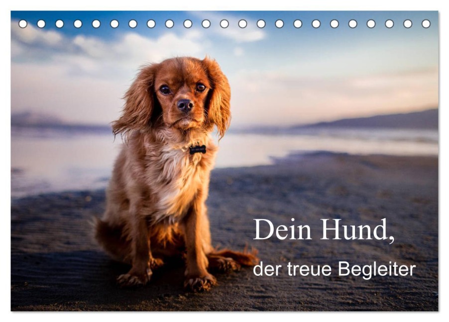 Dein Hund der treue Begleiter (Tischkalender 2026 DIN A5 quer), CALVENDO Monatskalender - Frank Gayde
