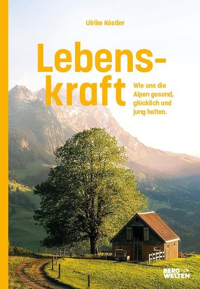 Lebenskraft - Ulrike Köstler