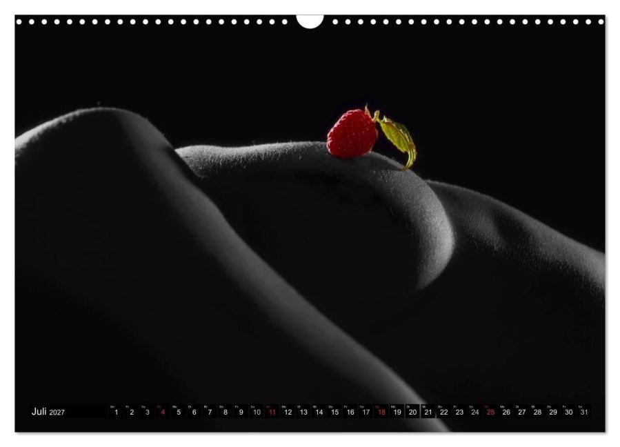 InsideView 12