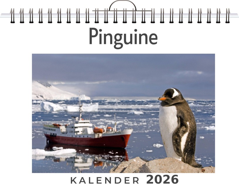 Pinguine - Matteo Neumann