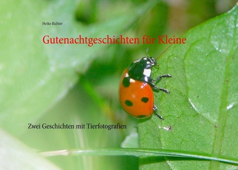 Gutenachtgeschichten für Kleine - Heike Richter