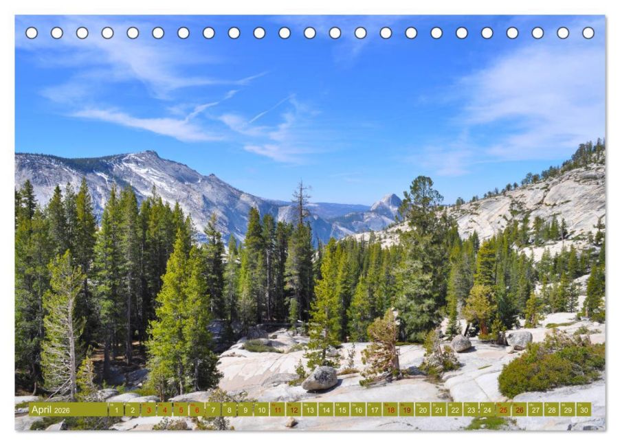 InsideView 9
