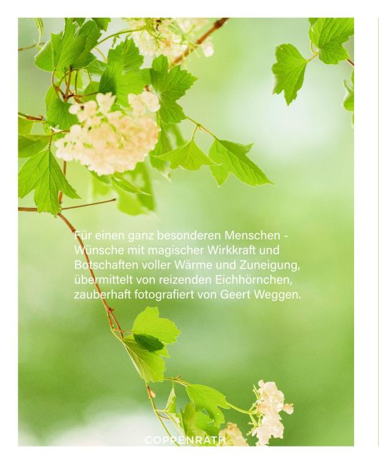 InsideView 4