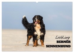 Liebling BERNER SENNENHUND (Wandkalender 2026 DIN A2 quer), CALVENDO Monatskalender - Www. Annettmirsberger. de Mirsberger