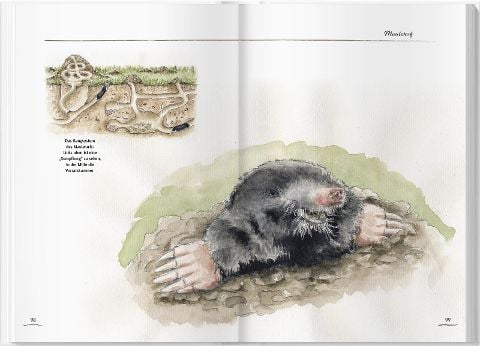 InsideView 12