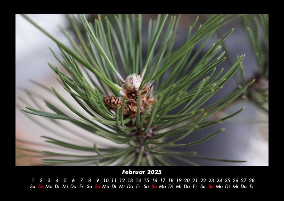 InsideView 6