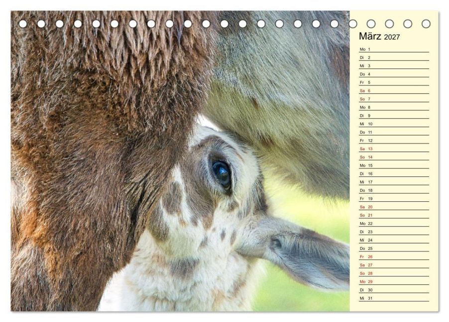 InsideView 8