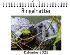 Cover-Bild zum Titel 'Ringelnatter' von 'Oliver Münch'